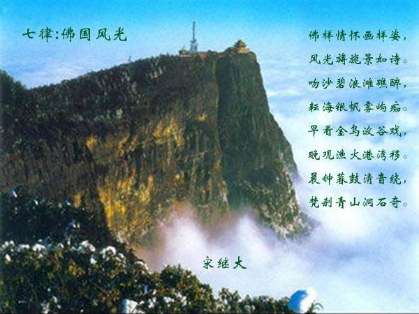 雷竞技比分