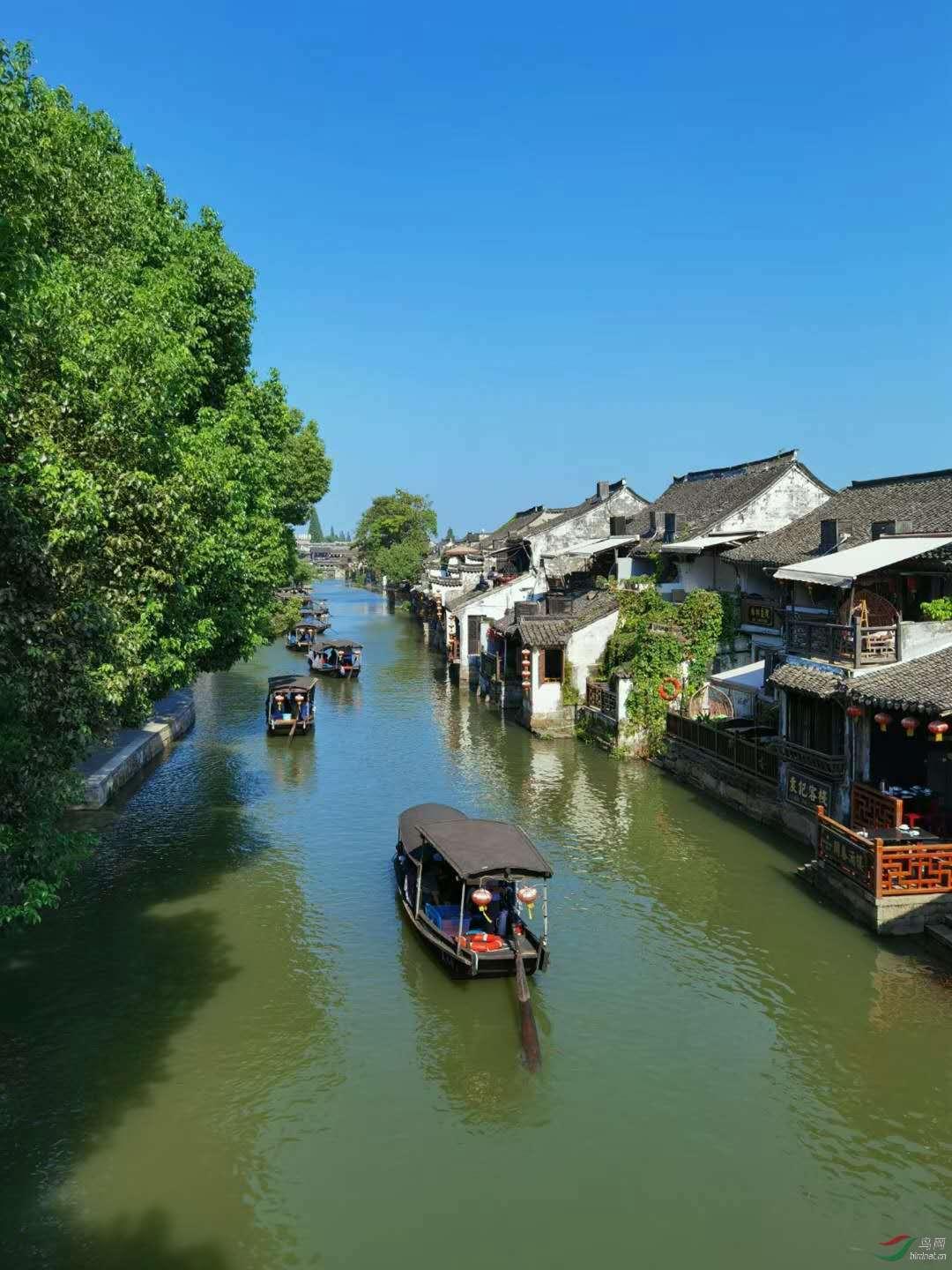 雷竞技比分